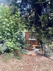 Woo Mon Chew Road (D15), Detached #576353061